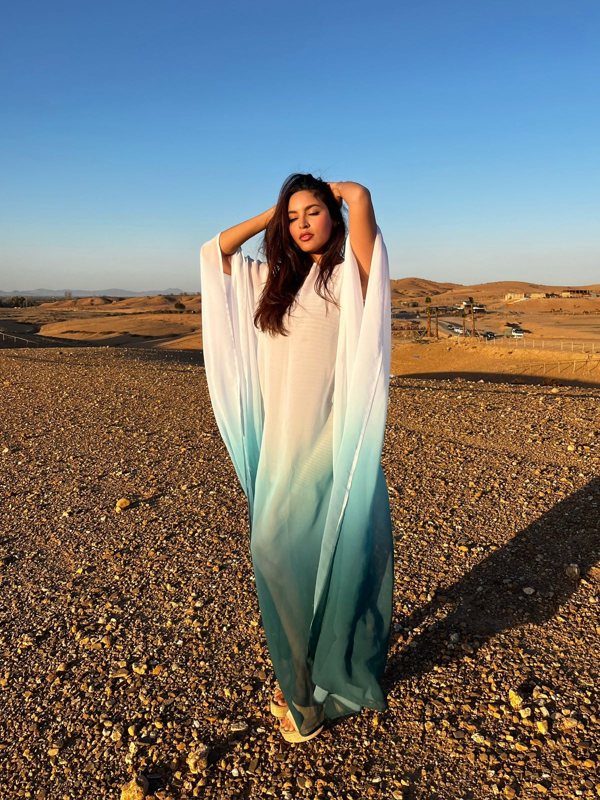 Ocean breeze butterfly 🦋