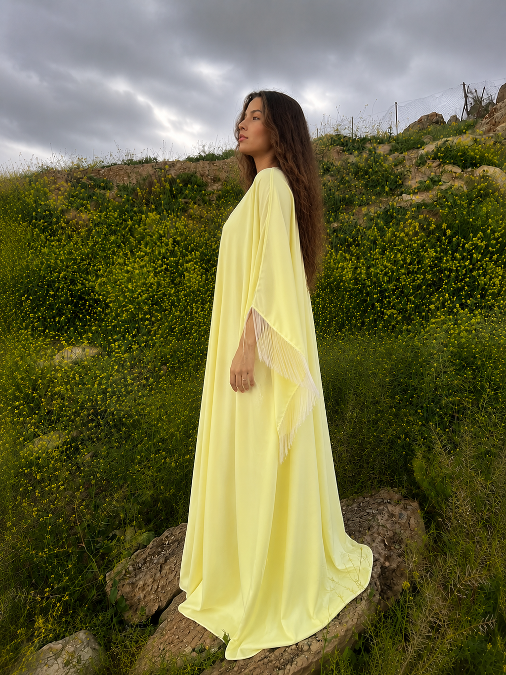 Yellow Dreams 💛