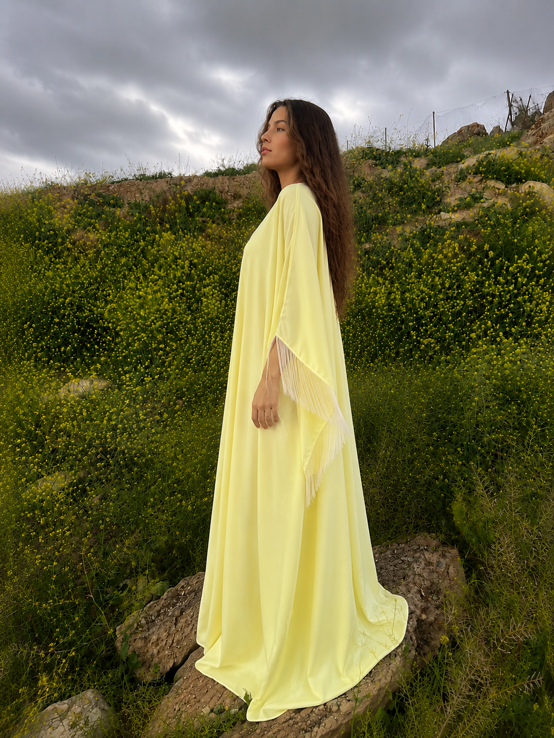 Yellow Dreams 💛