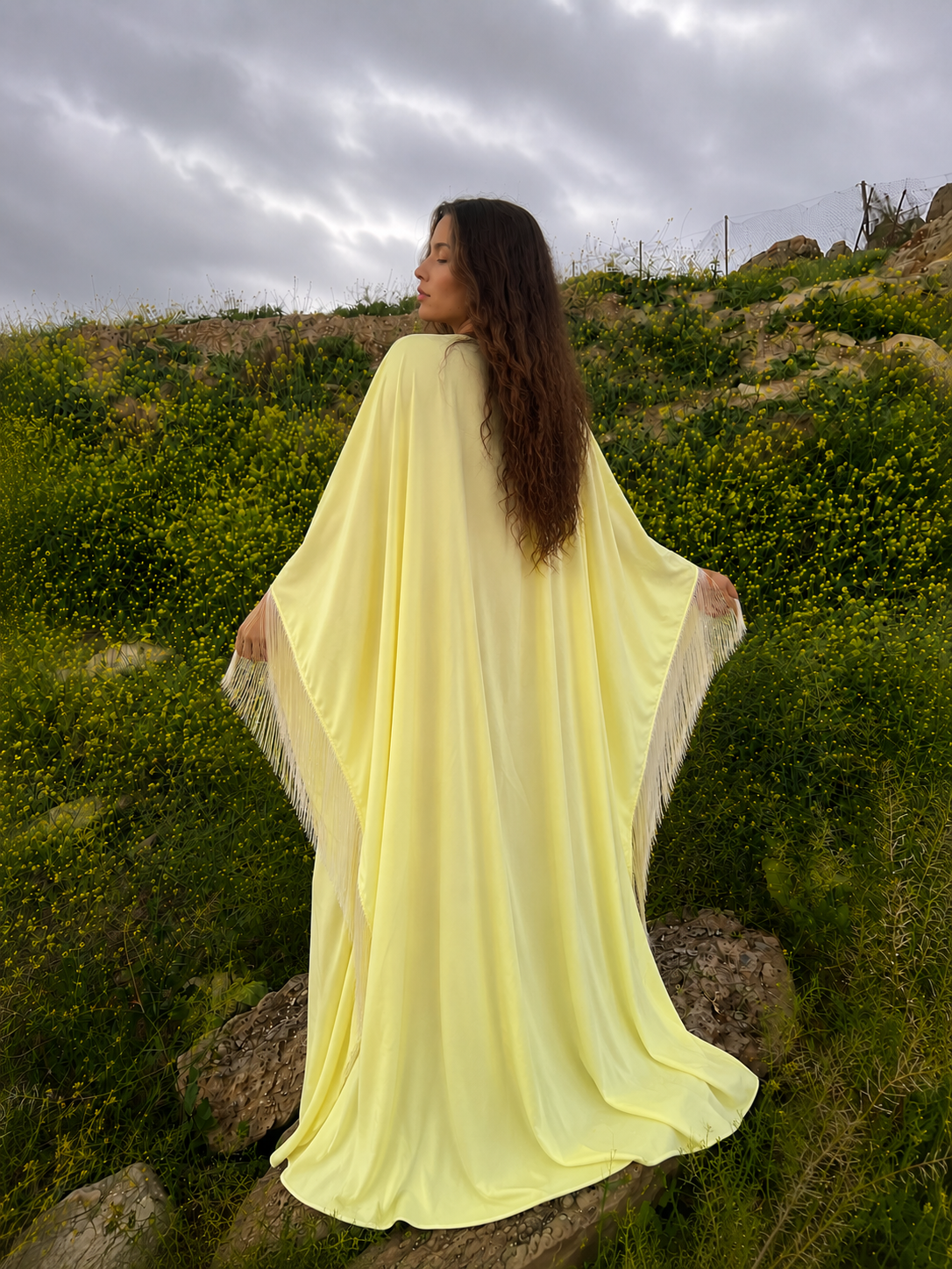 Yellow Dreams 💛